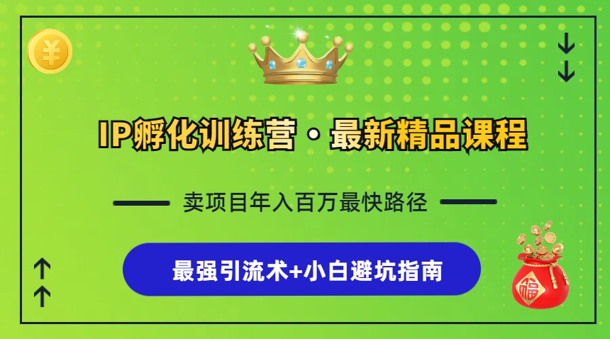 IP孵化训练营，知识付费全流程+最强引流术+小白避坑指南-89网创
