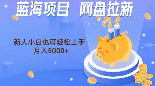 蓝海项目网盘拉新，新人小白也可操作，每月收入5000+-89网创