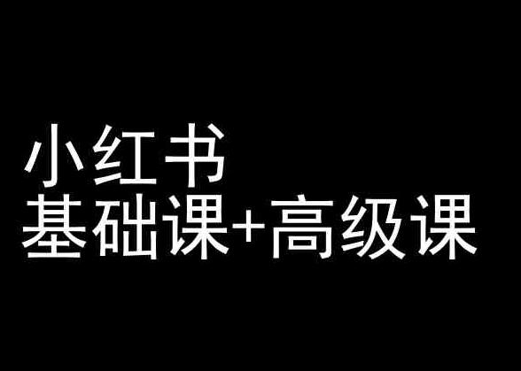 小红书基础课+高级课-小红书运营教程-89网创