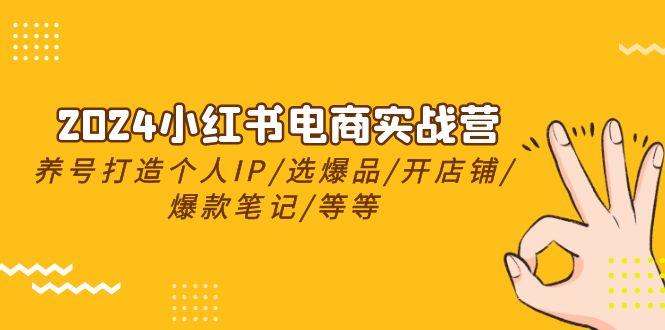 2024小红书电商实战营，养号打造IP/选爆品/开店铺/爆款笔记/等等(24节)-89网创