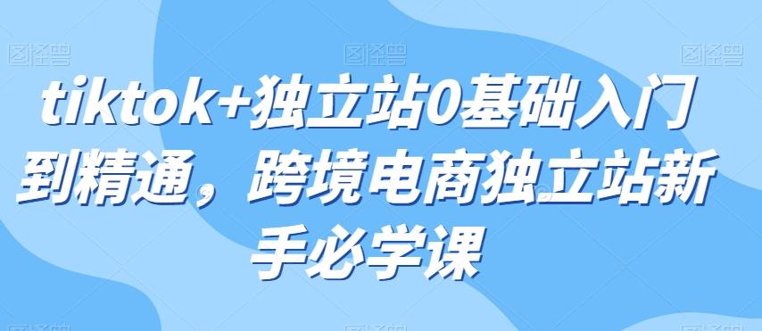 tiktok+独立站0基础入门到精通，跨境电商独立站新手必学课-89网创