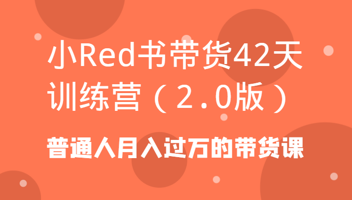 小Red书带货42天训练营(2.0版)普通人月入过万的带货课-89网创