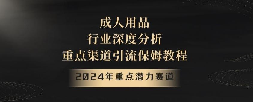 2024年重点潜力赛道，成人用品行业深度分析，重点渠道引流保姆教程【揭秘】-89网创