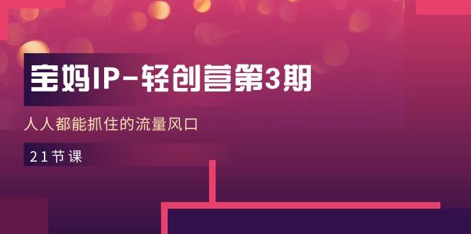 宝妈IP-轻创营第3期，人人都能抓住的流量风口(21节课-89网创
