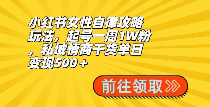 小红书女性自律攻略玩法，起号一周1W粉，私域情商干货单日变现500＋-89网创