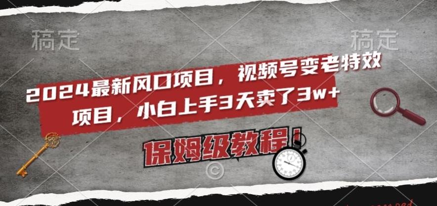 2024最新风口项目，视频号变老特效项目，电脑小白上手3天卖了3w+，保姆级教程【揭秘】-89网创