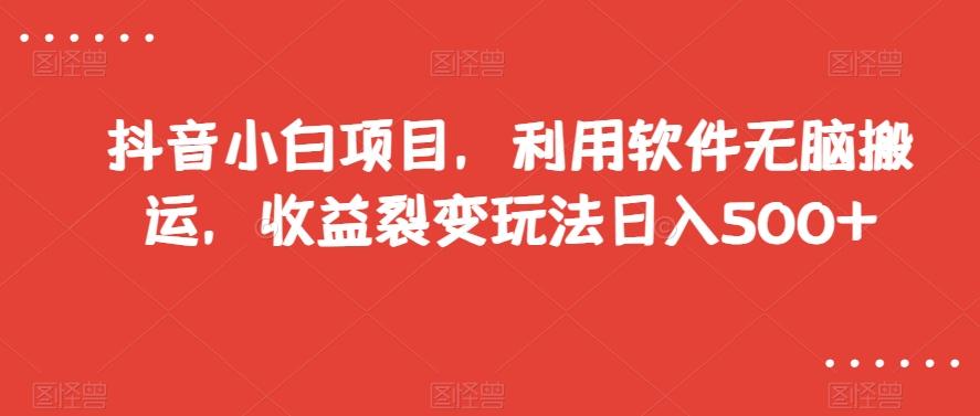 抖音小白项目，利用软件无脑搬运，收益裂变玩法日入500+【揭秘】-89网创