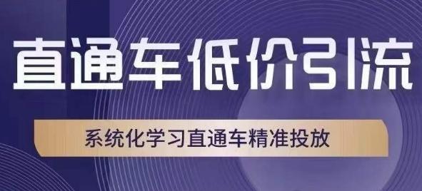 直通车低价引流课，系统化学习直通车精准投放-89网创