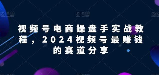 视频号电商实战教程，2024视频号最赚钱的赛道分享-89网创