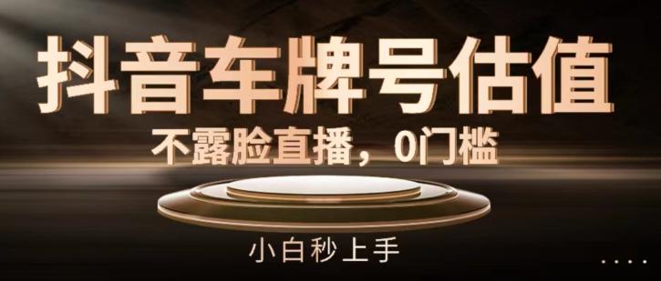 抖音车牌号估值，不露脸直播，0门槛，小白秒上手【揭秘】-89网创