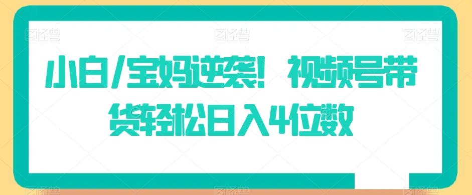 小白/宝妈逆袭！视频号带货轻松日入4位数【揭秘】-89网创