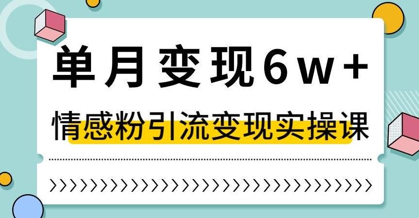 单月变现6W+，抖音情感粉引流变现实操课，小白可做，轻松上手，独家赛道【揭秘】-89网创