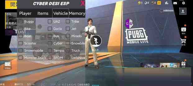 PUBG轻量老外裸奔绘制+自瞄 支持ROOT和框架 里面有全局离线-89网创