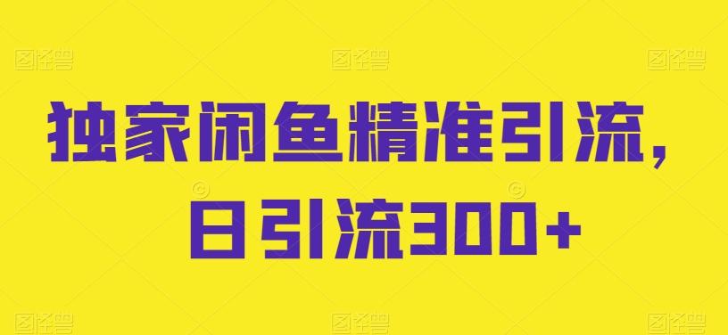 独家闲鱼精准引流，日引流300+【揭秘】-89网创