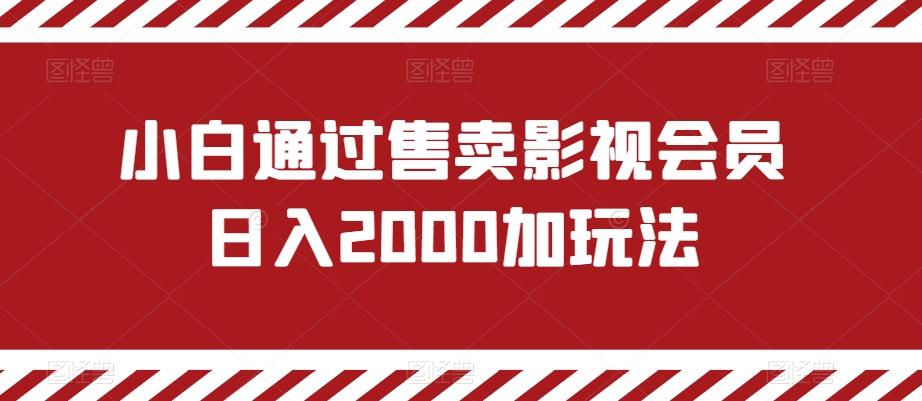 小白通过售卖影视会员日入2000加玩法-89网创