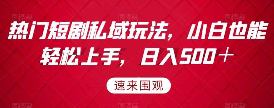 热门短剧私域玩法，小白也能轻松上手，日入500＋-89网创