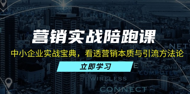 营销实战陪跑课：中小企业实战宝典，看透营销本质与引流方法论-89网创
