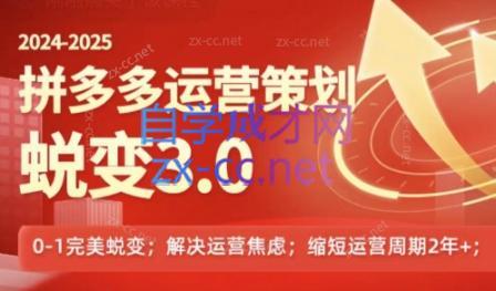 大力老师·2024拼多多运营策略蜕变3.0-89网创