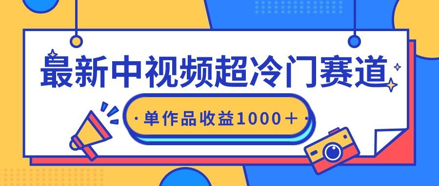 (9275期)最新中视频超冷门赛道，轻松过原创，单条视频收益1000＋-89网创