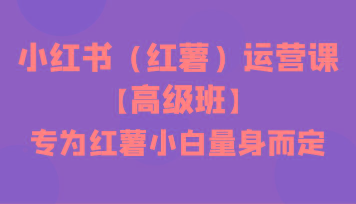 小红书(红薯)运营课【高级班】，专为红薯小白量身而定(42节课)-89网创