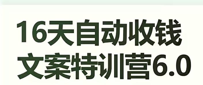 16天自动收钱文案特训营6.0，学会儿每天自动咔咔收钱-89网创