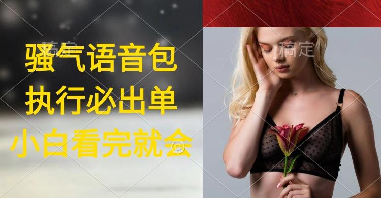 (9589期)执行就出单，日入2000+，超火骚气语音包，小白看完课程就能马上实操-89网创