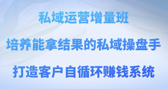 私域运营增量班，培养能拿结果的私域操盘手，打造客户自循环赚钱系统-89网创