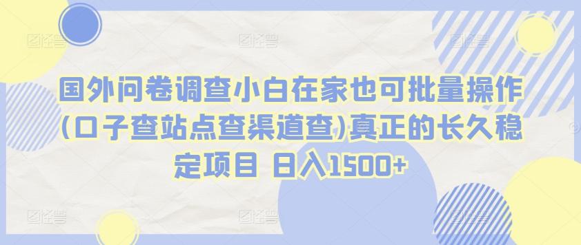 国外问卷调查小白在家也可批量操作(口子查站点查渠道查)真正的长久稳定项目 日入1500+【揭秘】-89网创