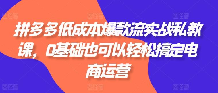 拼多多低成本爆款流实战私教课，0基础也可以轻松搞定电商运营-89网创