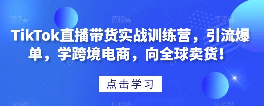 TikTok直播带货实战训练营，引流爆单，学跨境电商，向全球卖货！-89网创