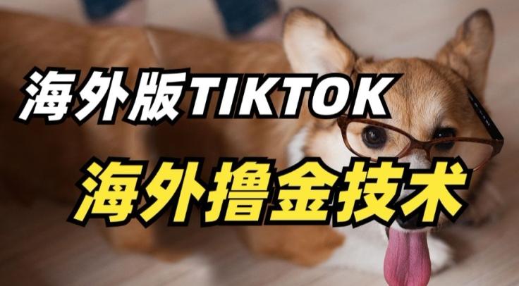 抖音海外版tiktok撸金技术，这个风口行业，赚钱真的不难【揭秘】-89网创