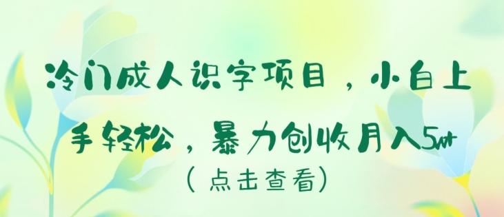 冷门成人识字项目，小白上手轻松，暴力创收月入5w+【揭秘】-89网创
