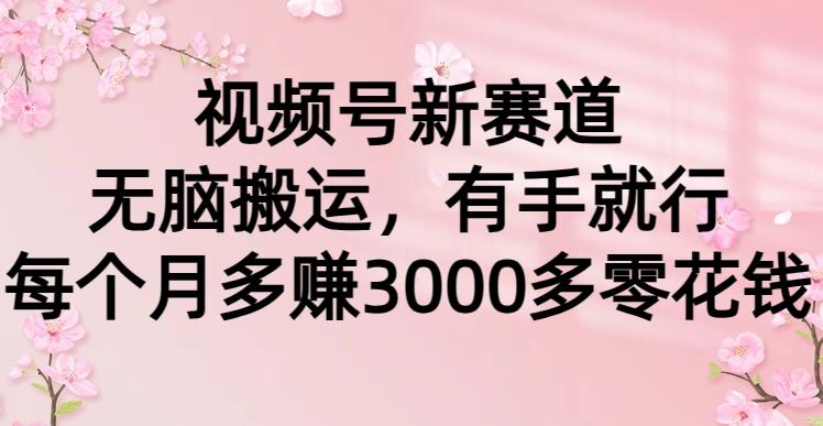 (9278期)视频号新赛道，无脑搬运，有手就行，每个月多赚3000多零花钱-89网创