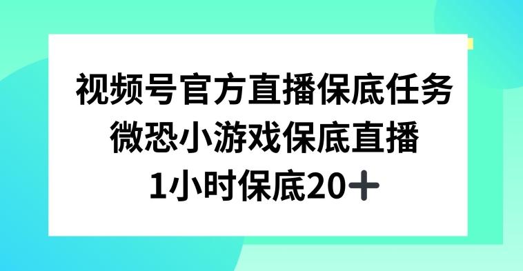 视频号直播任务，微恐小游戏，1小时20+【揭秘】-89网创