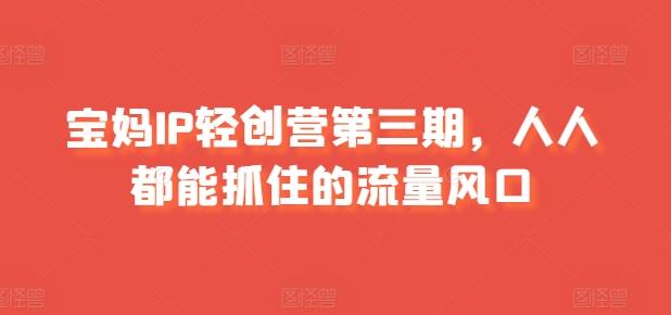 宝妈IP轻创营第三期，人人都能抓住的流量风口-89网创