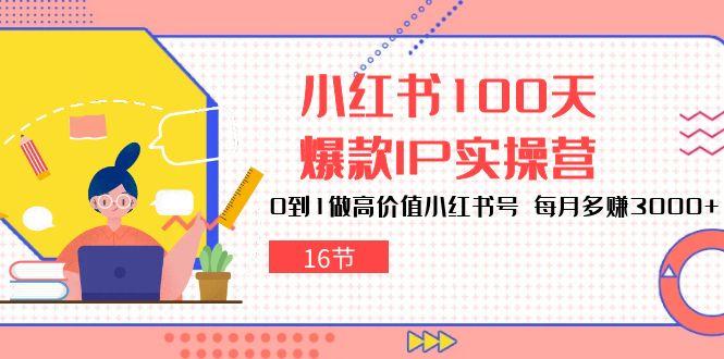 小红书100天-爆款IP实操营，0到1做高价值小红书号 每月多赚3000+(16节-89网创