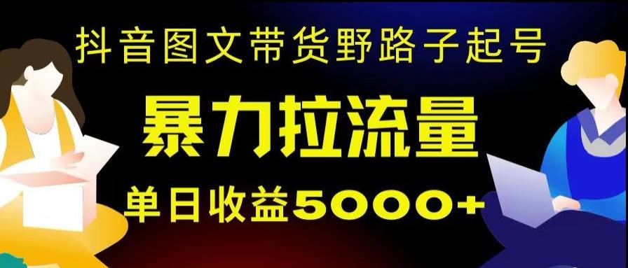 抖音图文带货暴力起号，单日收益5000+，野路子玩法，简单易上手，一部手机即可【揭秘】-89网创