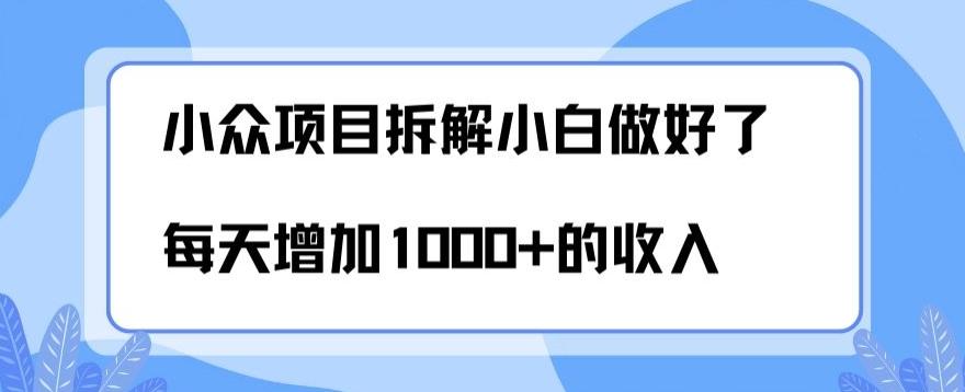 小众项目拆解，小白做好了每天可增加1000多的收入-89网创