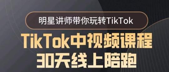 TikTok中视频课程30天线上陪跑，明星讲师带你玩转TikTok-89网创