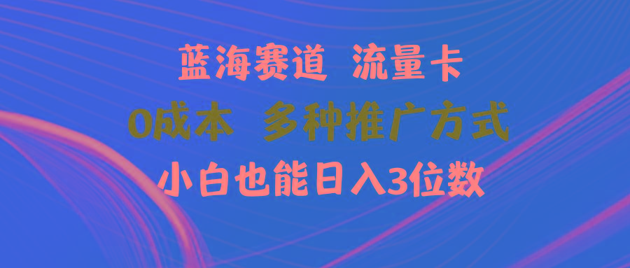 蓝海赛道 流量卡 0成本 小白也能日入三位数-89网创
