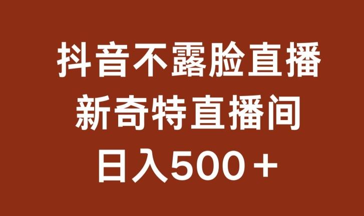 不露脸挂机直播，新奇特直播间，日入500+【揭秘】-89网创
