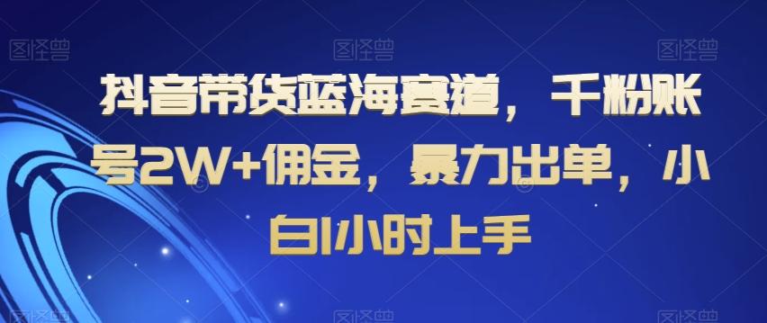抖音带货蓝海赛道，千粉账号2W+佣金，暴力出单，小白1小时上手【揭秘】-89网创
