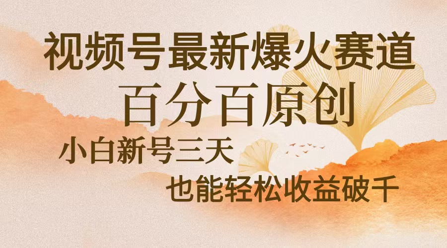视频号最新爆火赛道，中老年粉深信不疑，百分百原创，新号三天收益轻松…-89网创