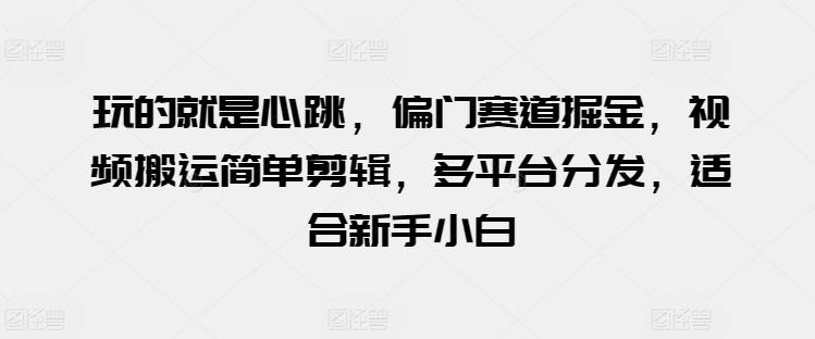 玩的就是心跳，偏门赛道掘金，视频搬运简单剪辑，多平台分发，适合新手小白【揭秘】-89网创