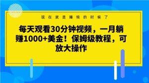 每天观看30分钟视频，一月躺赚1000+美金！保姆级教程，可放大操作【揭秘】-89网创