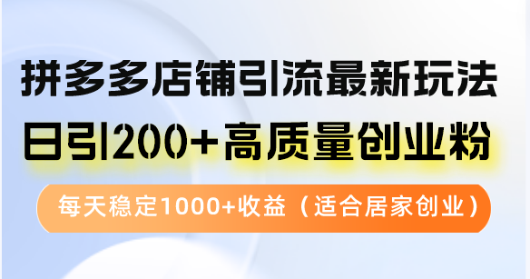 拼多多店铺引流最新玩法，日引200+高质量创业粉，每天稳定1000+收益(…-89网创