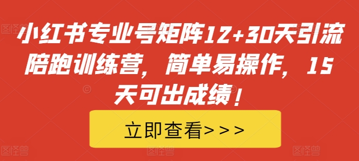小红书专业号矩阵12+30天引流陪跑训练营，简单易操作，15天可出成绩!-89网创