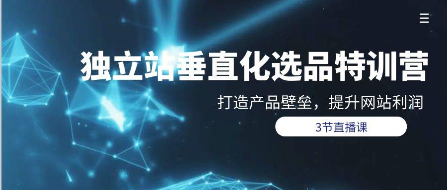 (9925期)独立站-垂直化选品训练营，打造产品壁垒，提升网站利润(3节直播课)-89网创