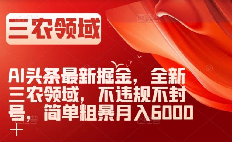 AI头条最新掘金，全新三农领域，不违规不封号，简单粗暴月入6000＋【揭秘】-89网创