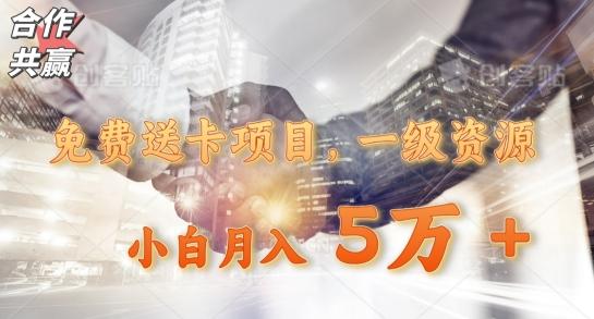 免费送卡项目，一级资源，小白月入5万+-89网创